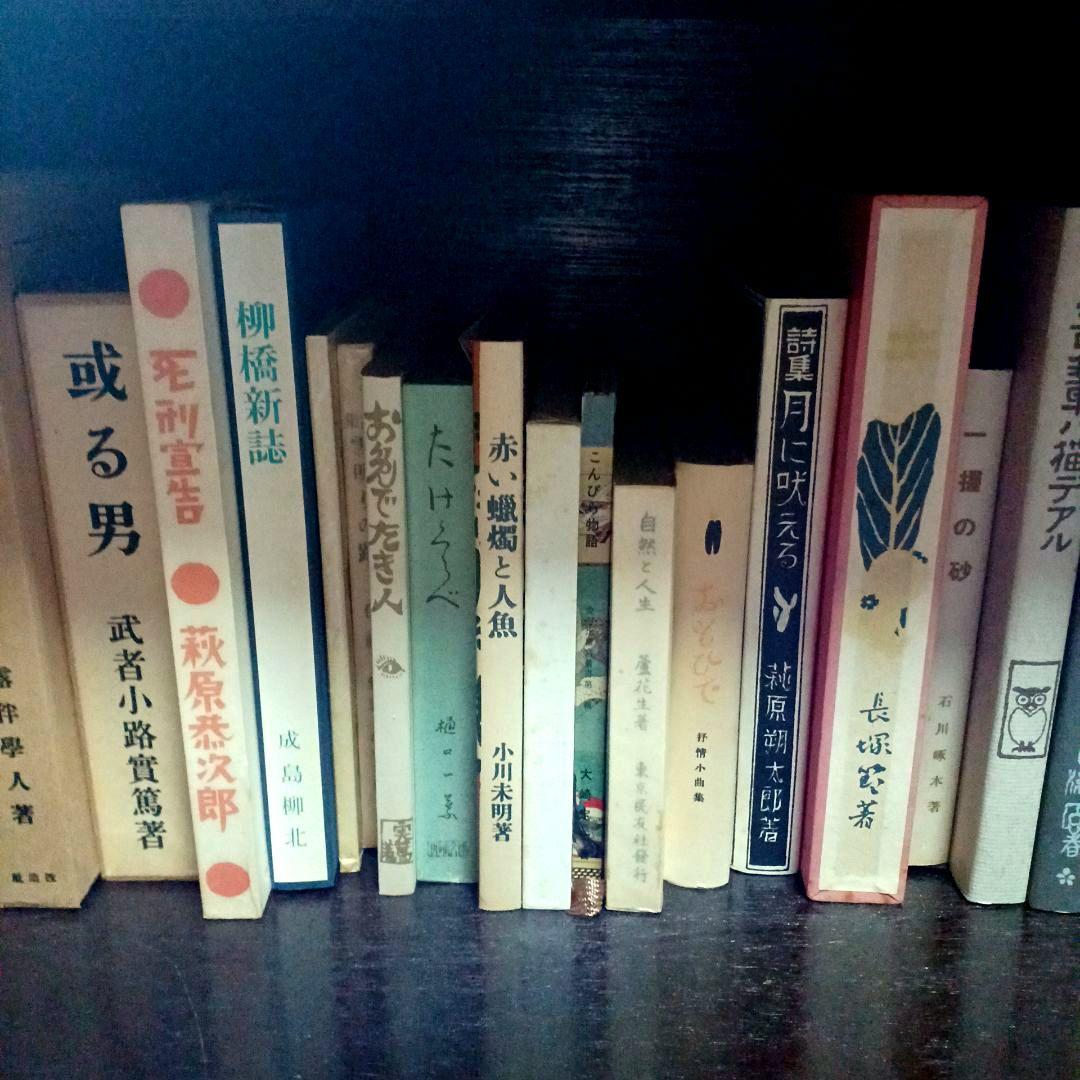 日本文学コレクション【中古品】