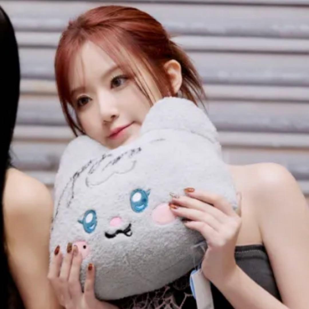 (G)I-DLE minini ぬいぐるみ クッション ソヨン ミヨン 正規品