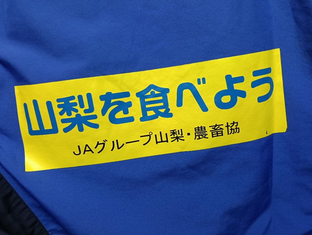 【希少・Lサイズ】ヴァンフォーレ甲府 長袖ピステ フルスポンサー 武田菱丸