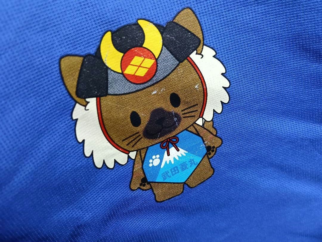 【希少・Lサイズ】ヴァンフォーレ甲府 長袖ピステ フルスポンサー 武田菱丸