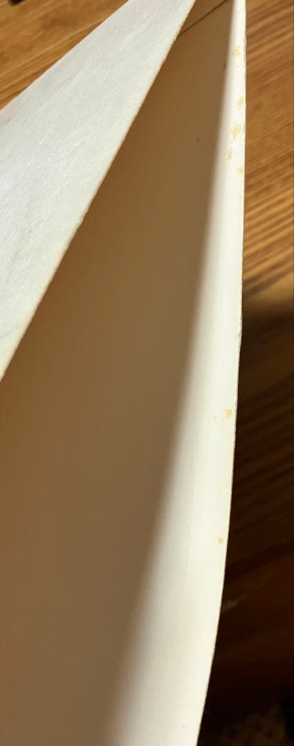 邦楽 Shuren the Fire 2LP