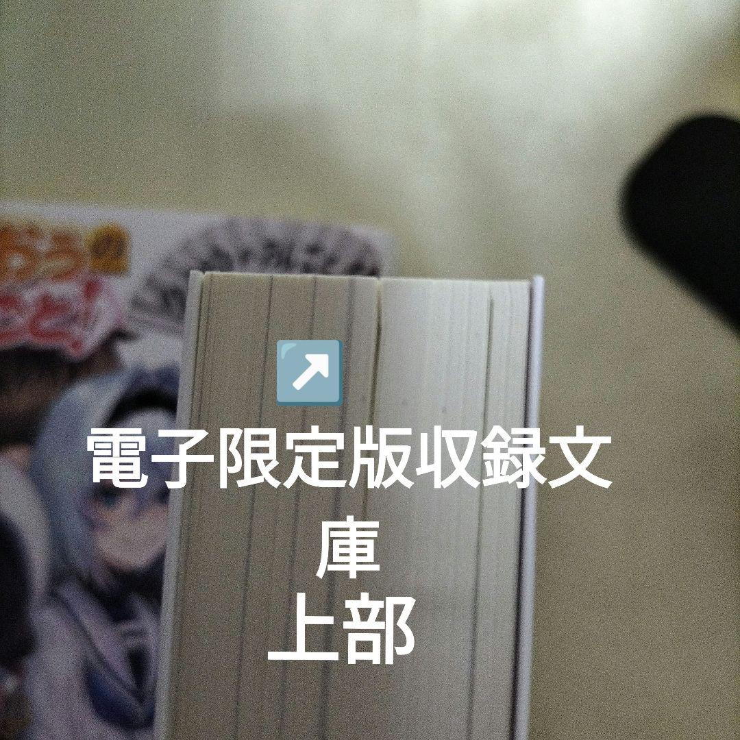 りゅうおうのおしごと!20 電子限定版収録文庫付き特装版