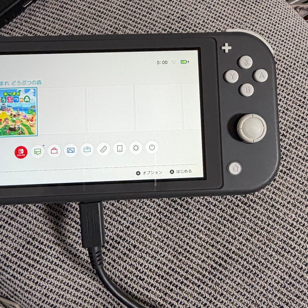 【doorzo様】Nintendo Switch Lite グレー 充電器付き