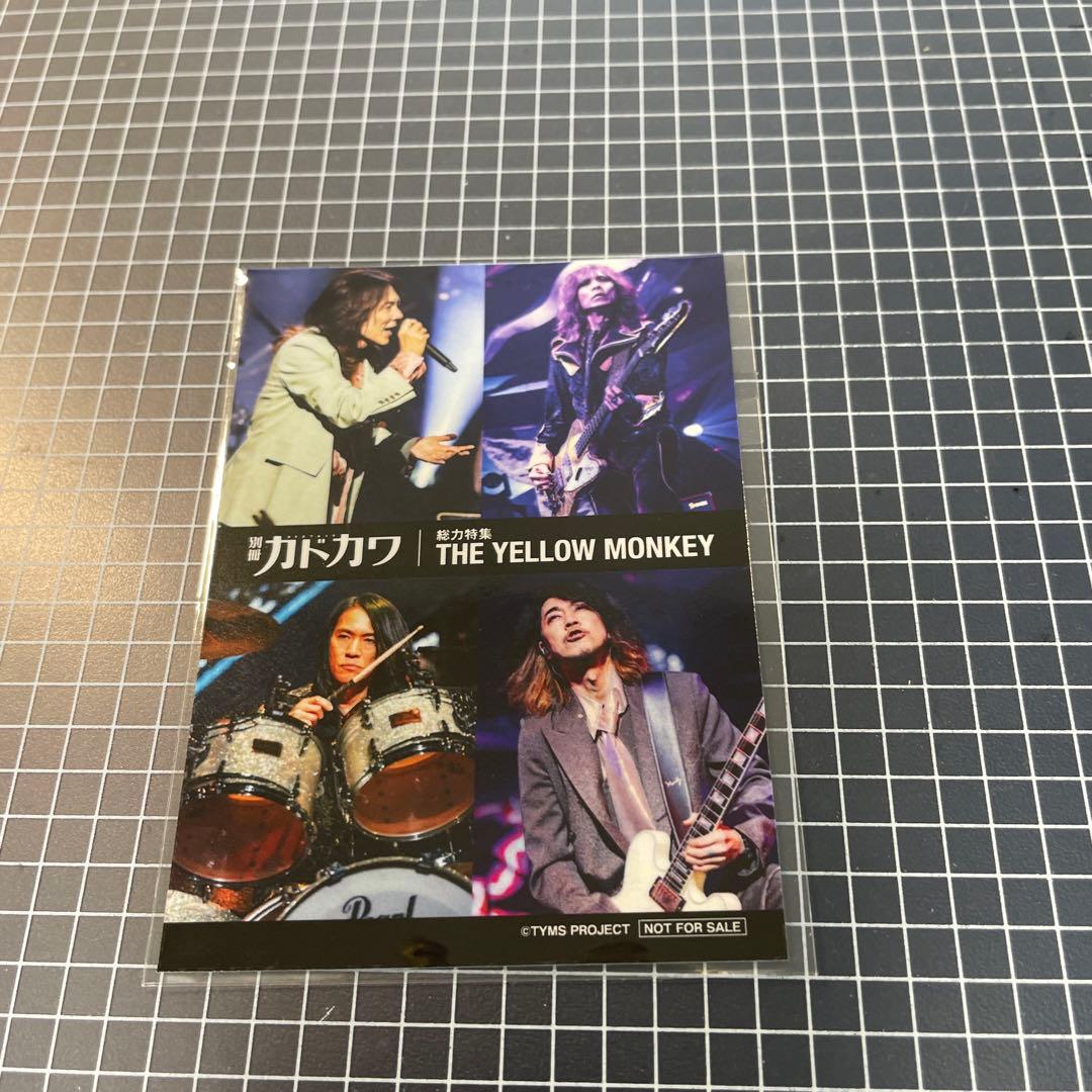 THE YELLOW MONKEY / CAT CITY FC&初回限定盤セット
