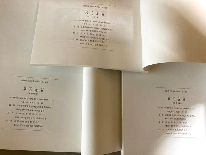 砂入遺跡　〔本文編〕〔図版編〕〔写真図版編〕