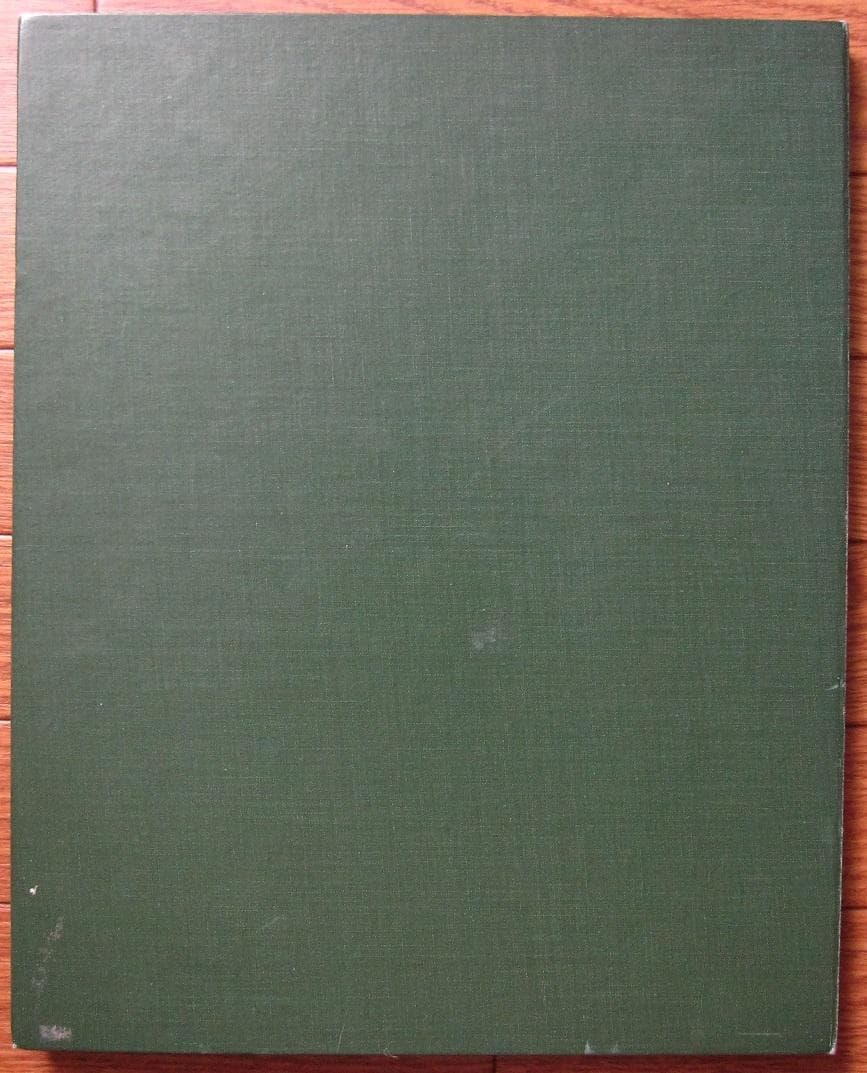 建石修志　凍結するアリスたちの日々に　限定350部