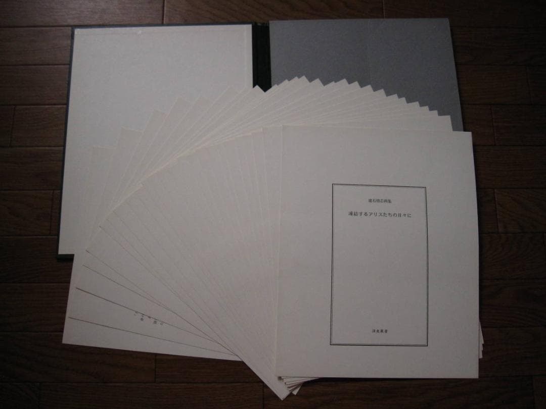 建石修志　凍結するアリスたちの日々に　限定350部