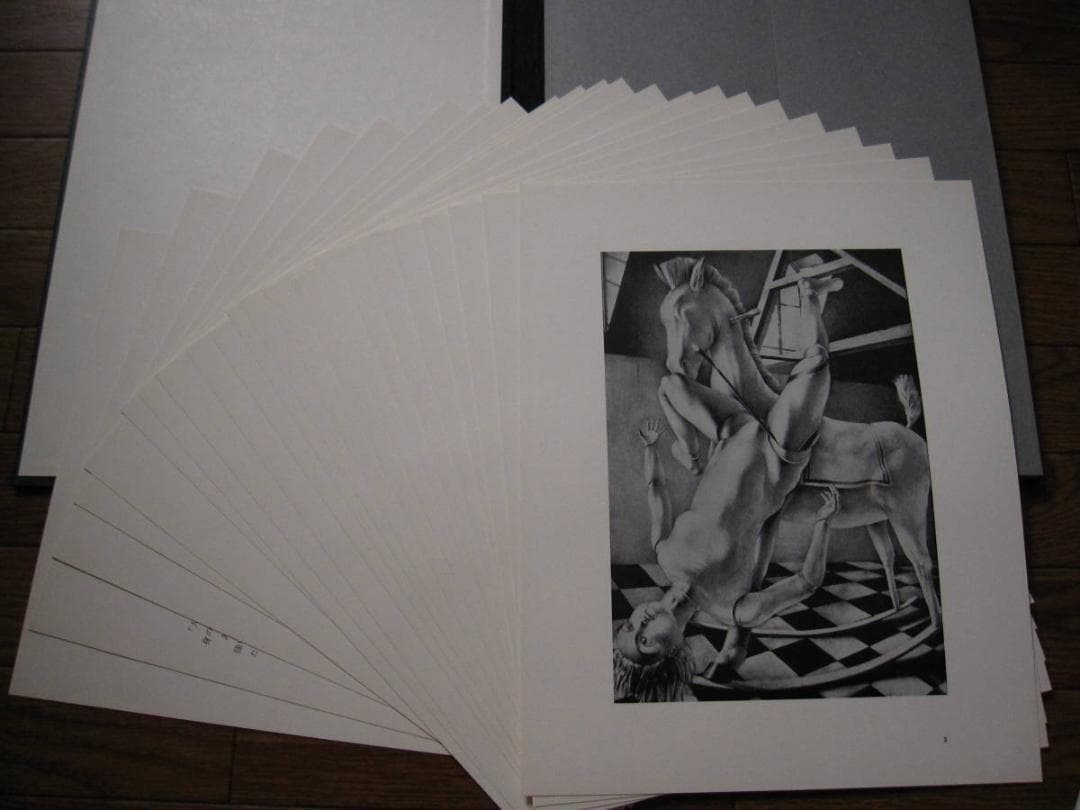 建石修志　凍結するアリスたちの日々に　限定350部