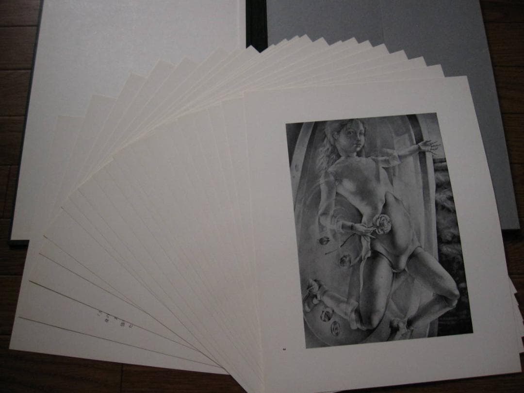 建石修志　凍結するアリスたちの日々に　限定350部