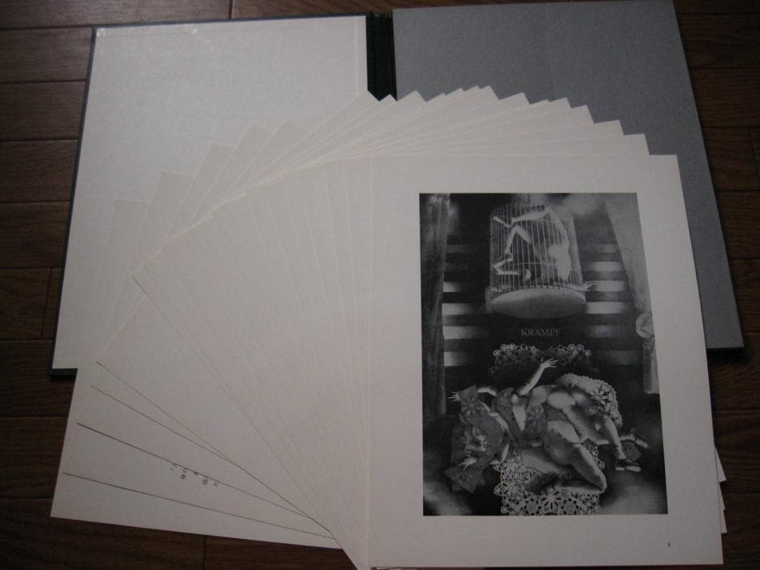 建石修志　凍結するアリスたちの日々に　限定350部