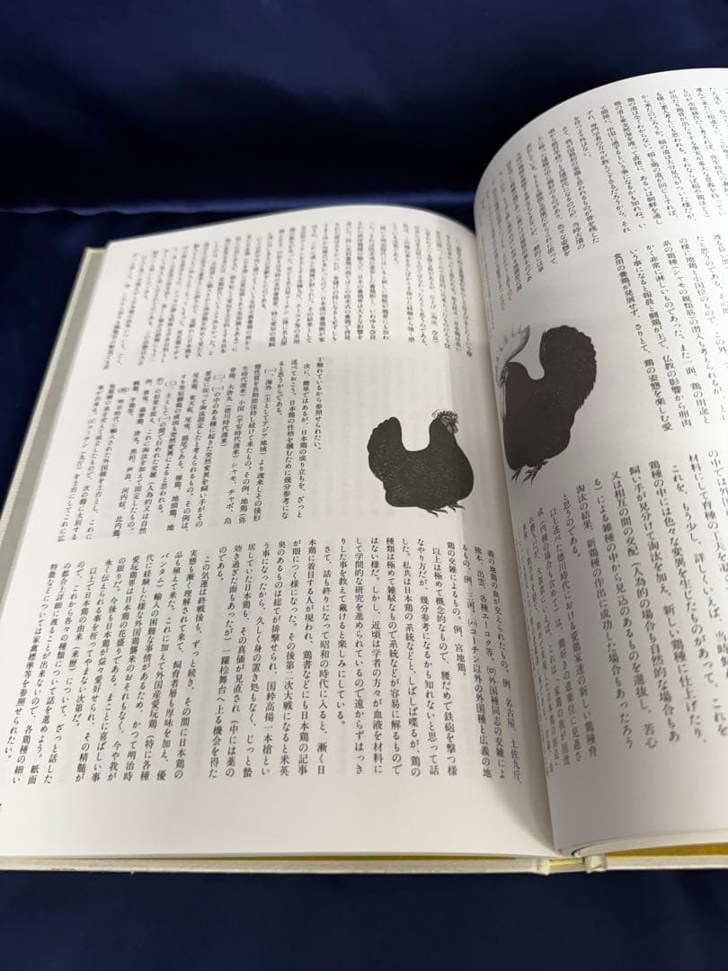 日本鶏大鑑　小山 七郎