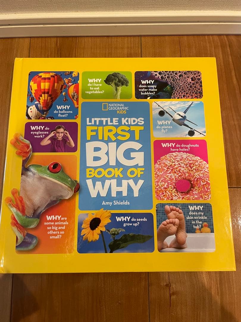 専用　Little Kids' First Big Book of など7冊