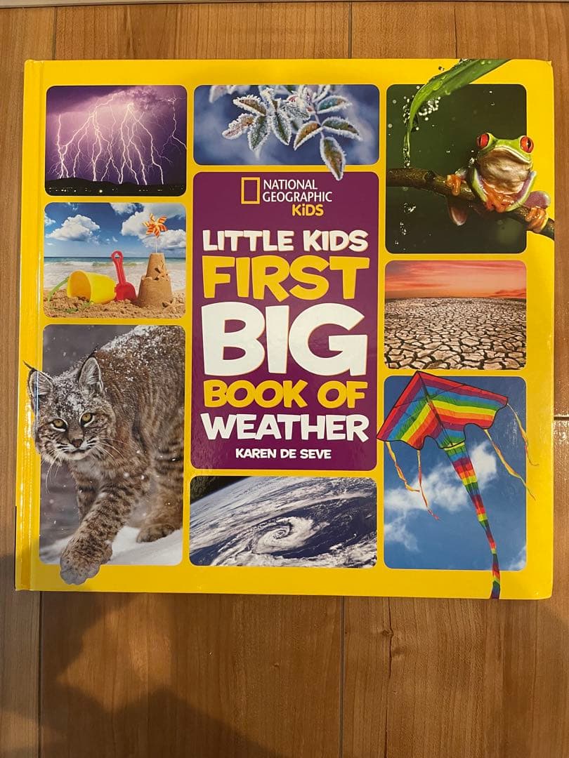 専用　Little Kids' First Big Book of など7冊