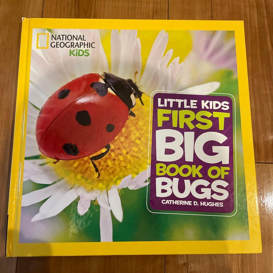 専用　Little Kids' First Big Book of など7冊