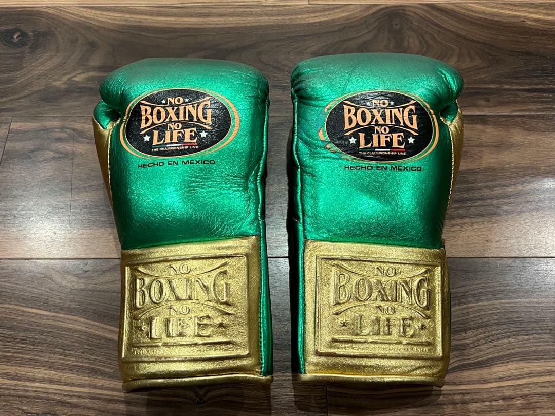 NO BOXING NO LIFE ボクシング グローブ カネロモデル 10oz