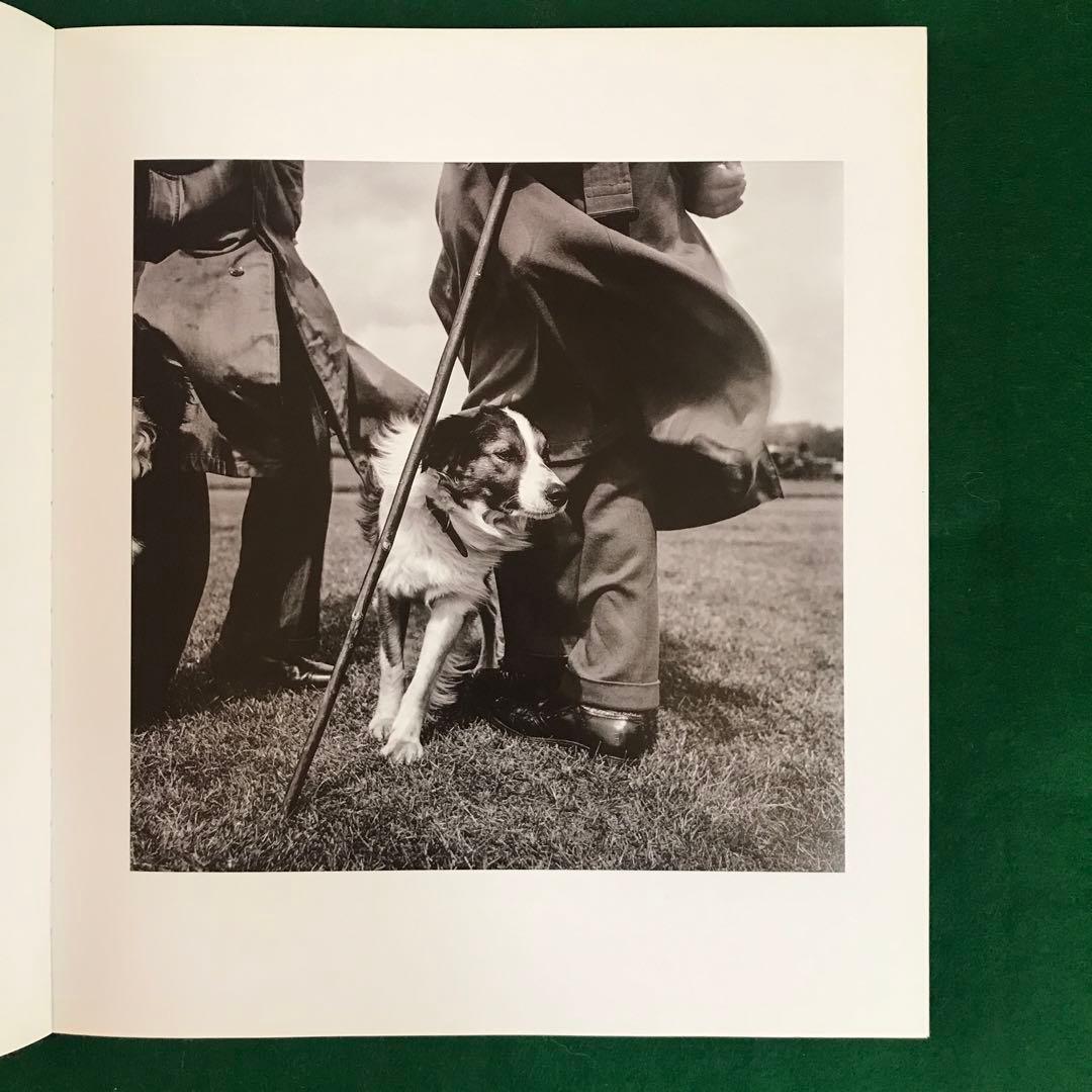 洋書 JANE BOWN A Lifetime of Looking