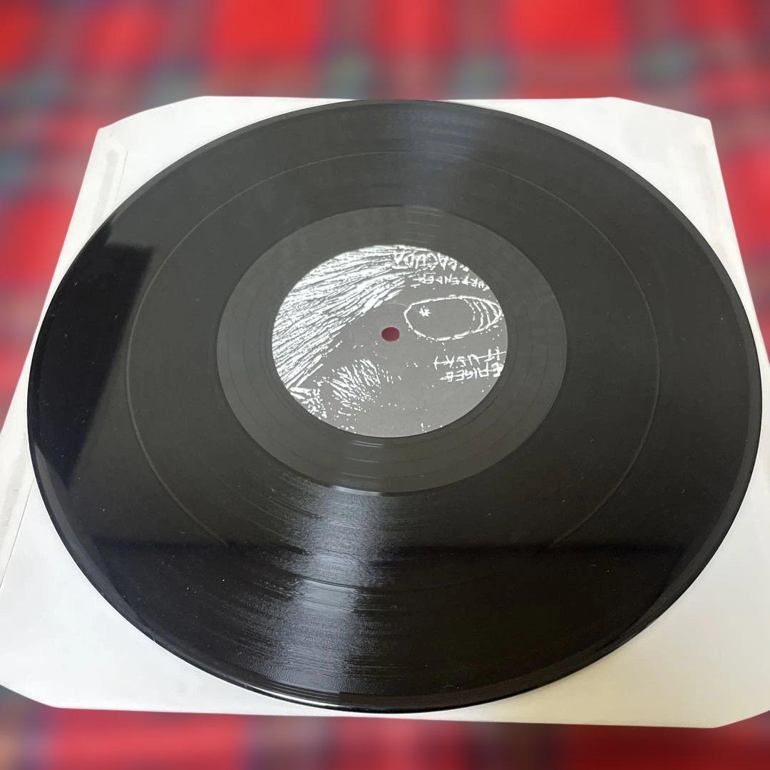 名盤LP Beach Fossils - What a Pleasure