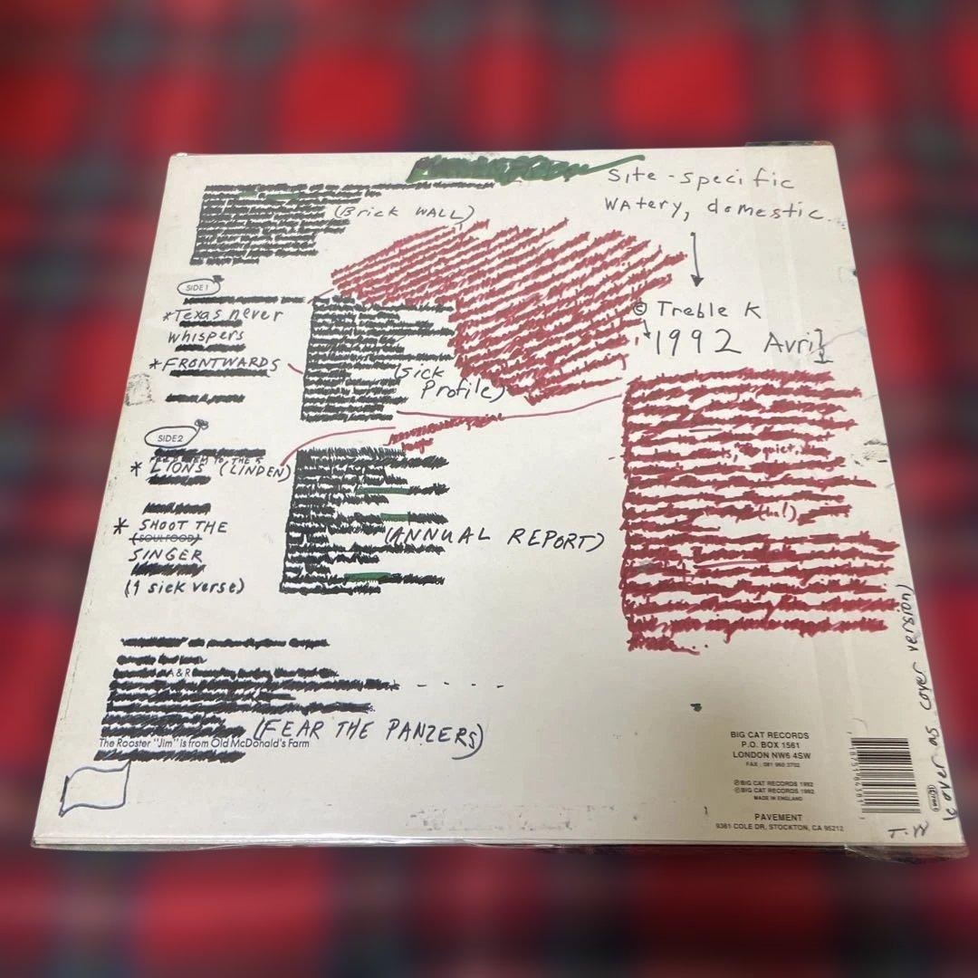 名盤LP Beach Fossils - What a Pleasure