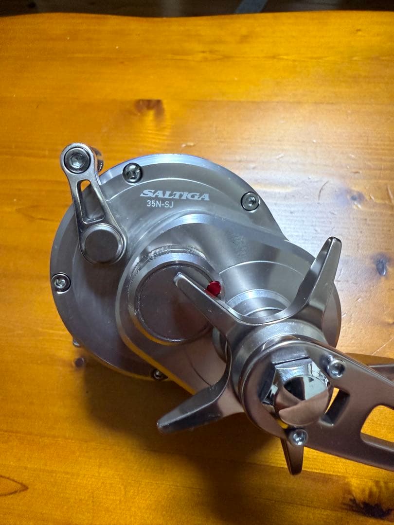 ソルティガ 35N-SJ ダイワ SALTIGA ジギング
