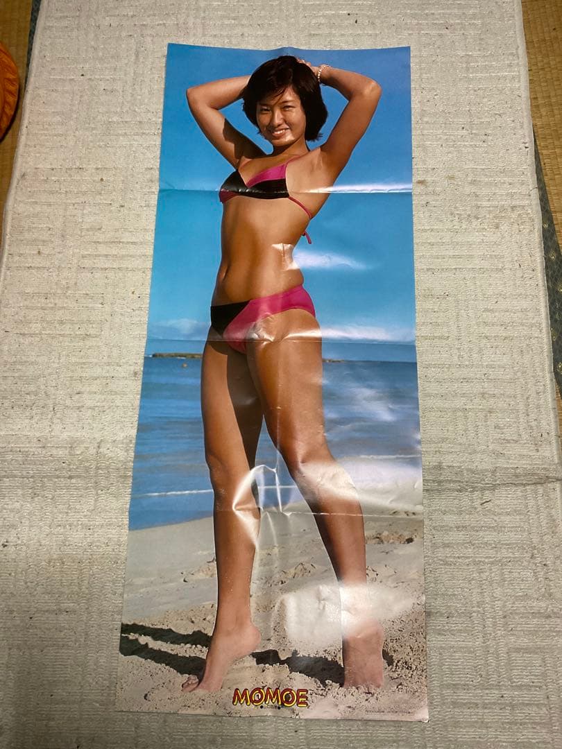 1979年／平凡・4月号　表紙／郷ひろみ　石野真子　大場久美子　【切り取りある】