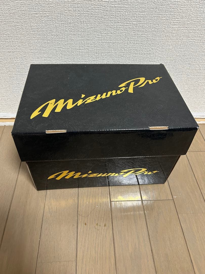 Mizuno プロ　 硬式グローブ