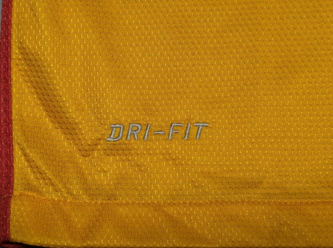 超希少品 2012-13 ガラタサライ スナイデル 加入半年限定背番号14番