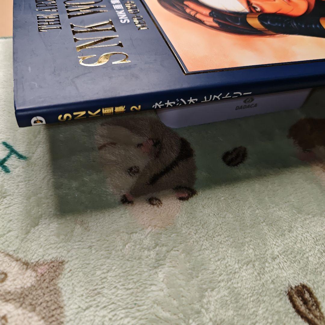 SNK画集 Vol.1 Vol.2 2冊セット ネオジオ