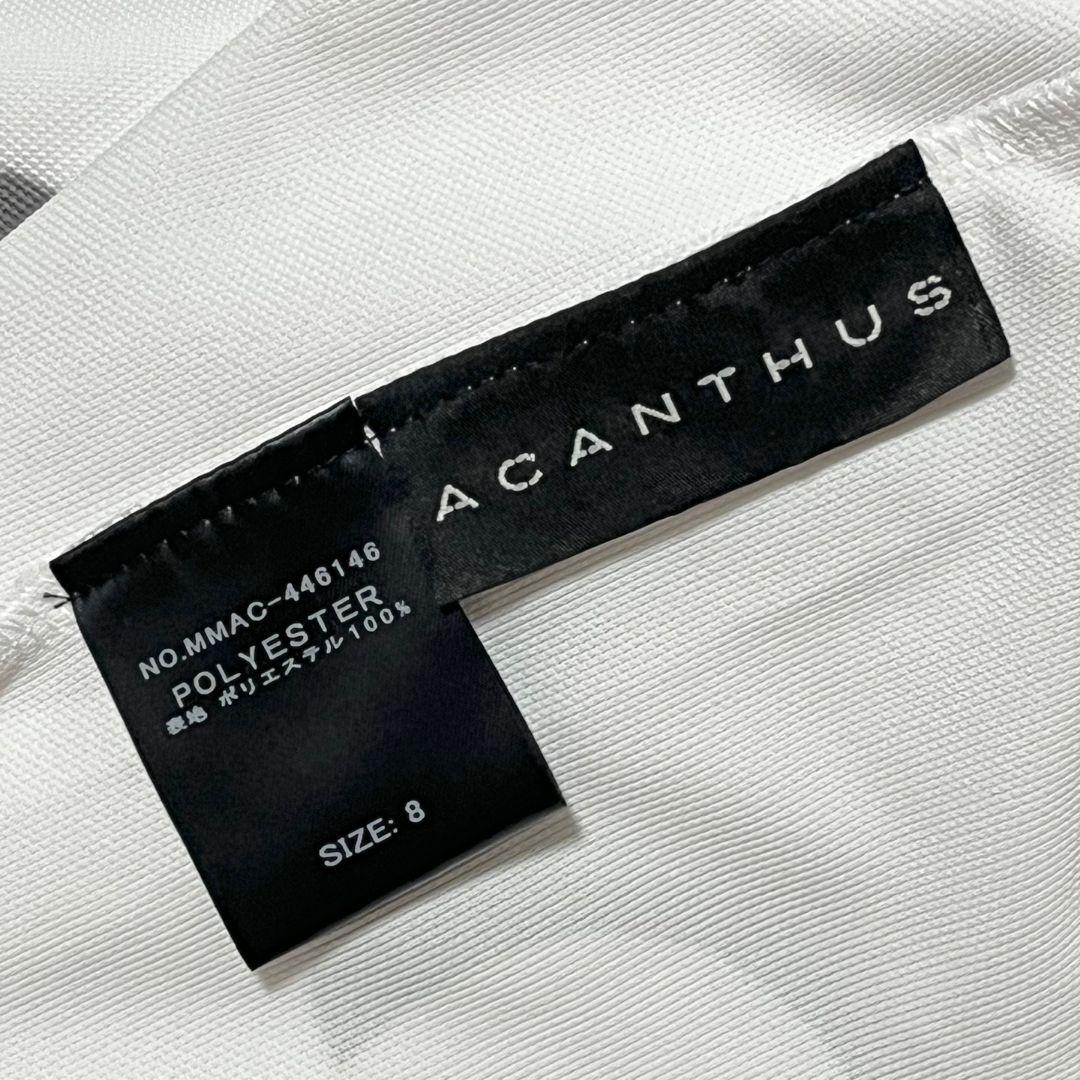 【新品】【8】MUTA MARINE GOLF×ACANTHUS ゴルフウェア