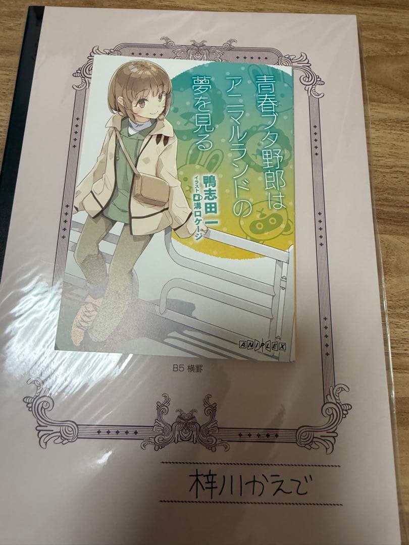 青ブタ　小説1〜12巻　映画パンフレット3種（豪華版）　かえでの日記帳セット