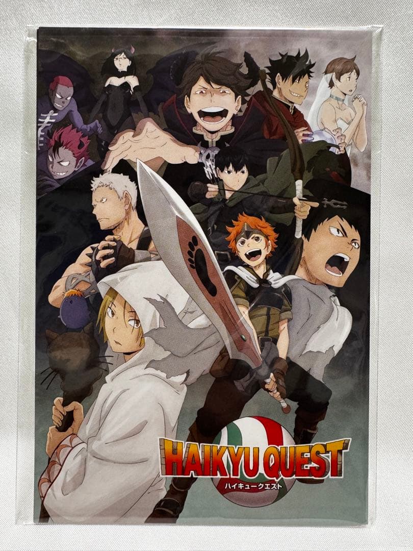 【未使用】ハイキュー！繋げ頂の景色！　コート上の勇者ボックス　3DS