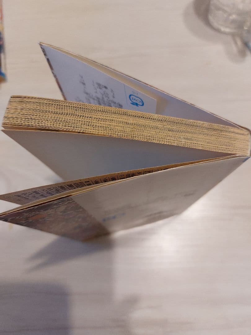 『中古・状態Ａ』初版るろうに剣心 28巻