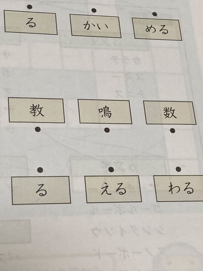 Rigauxさま　専用です。