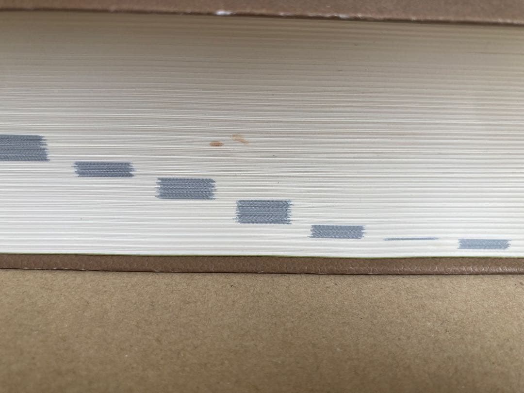 古典基礎語辞典 大野晋 角川学芸出版