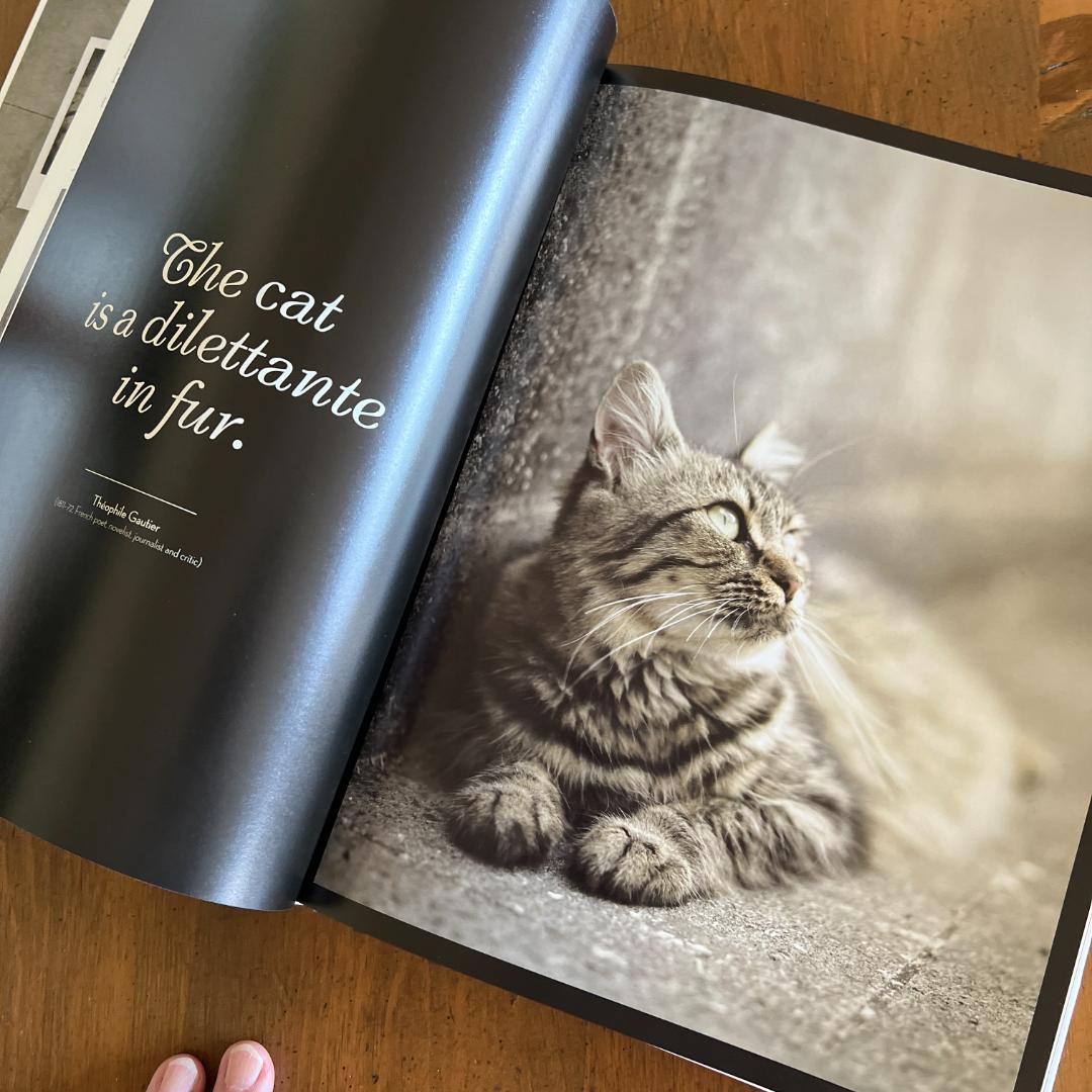 洋書** The French Cat ハードカバー 大型本