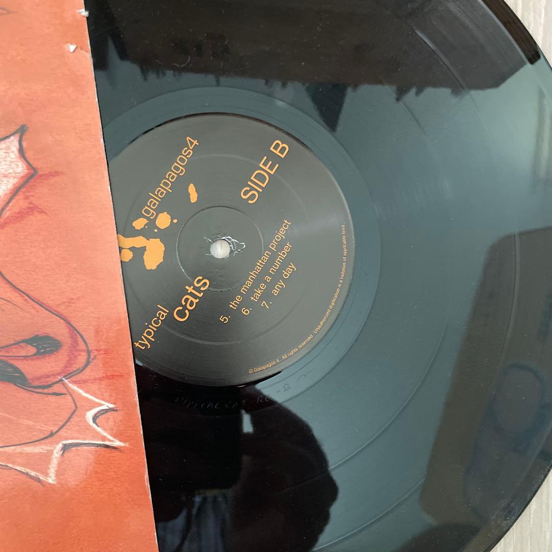 Typical Cats – Typical Cats