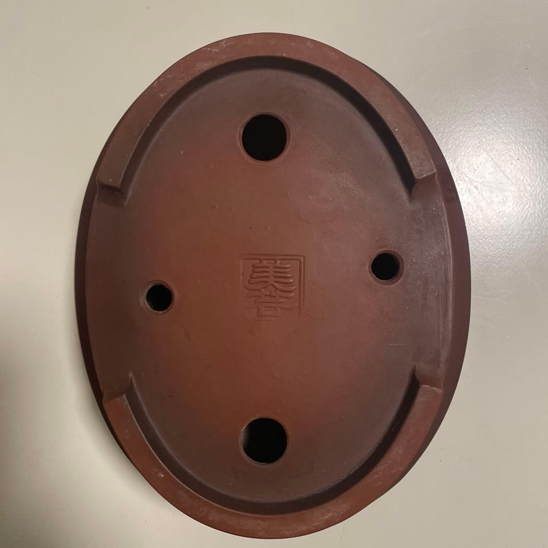 盆栽鉢　常滑焼　美芸