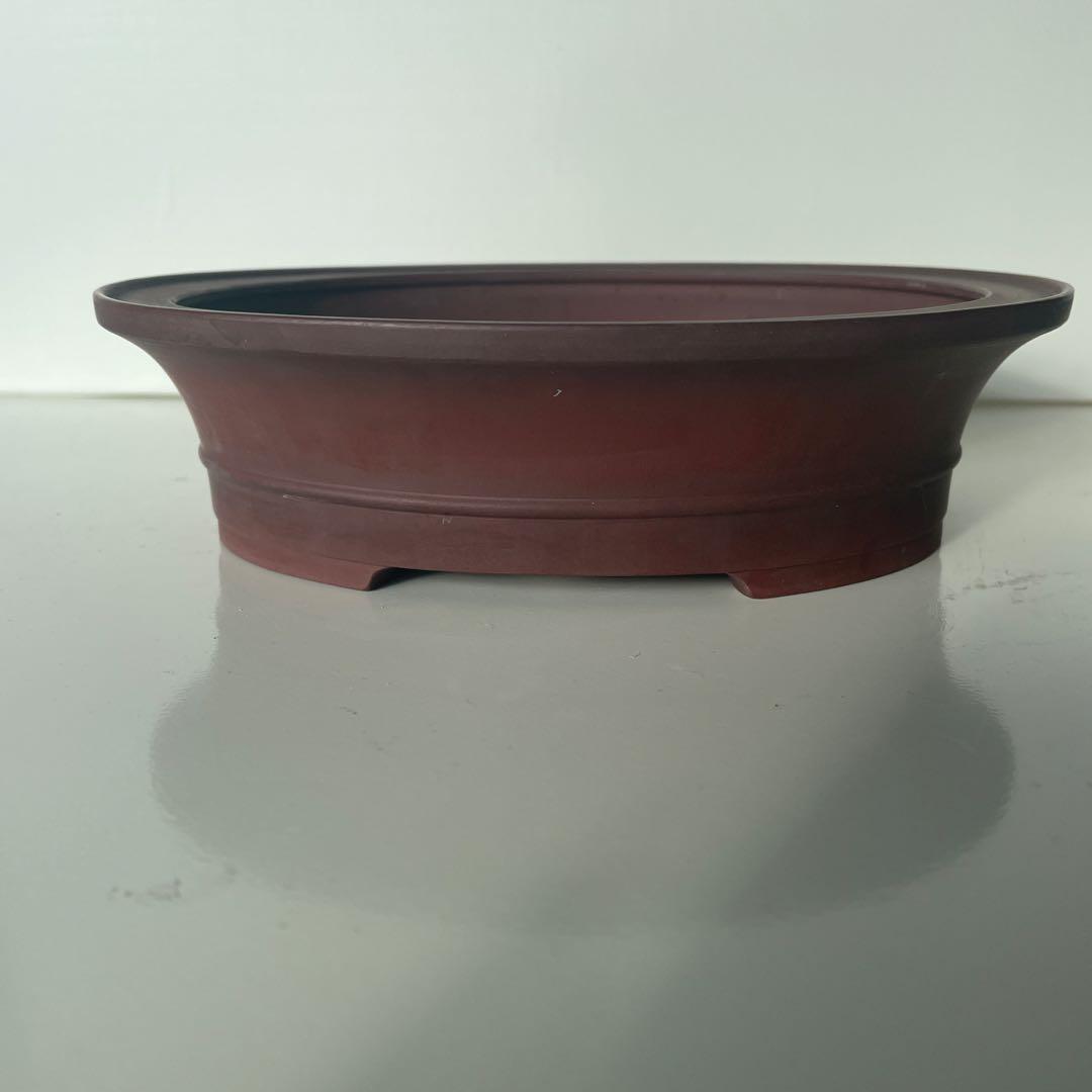 盆栽鉢　常滑焼　美芸