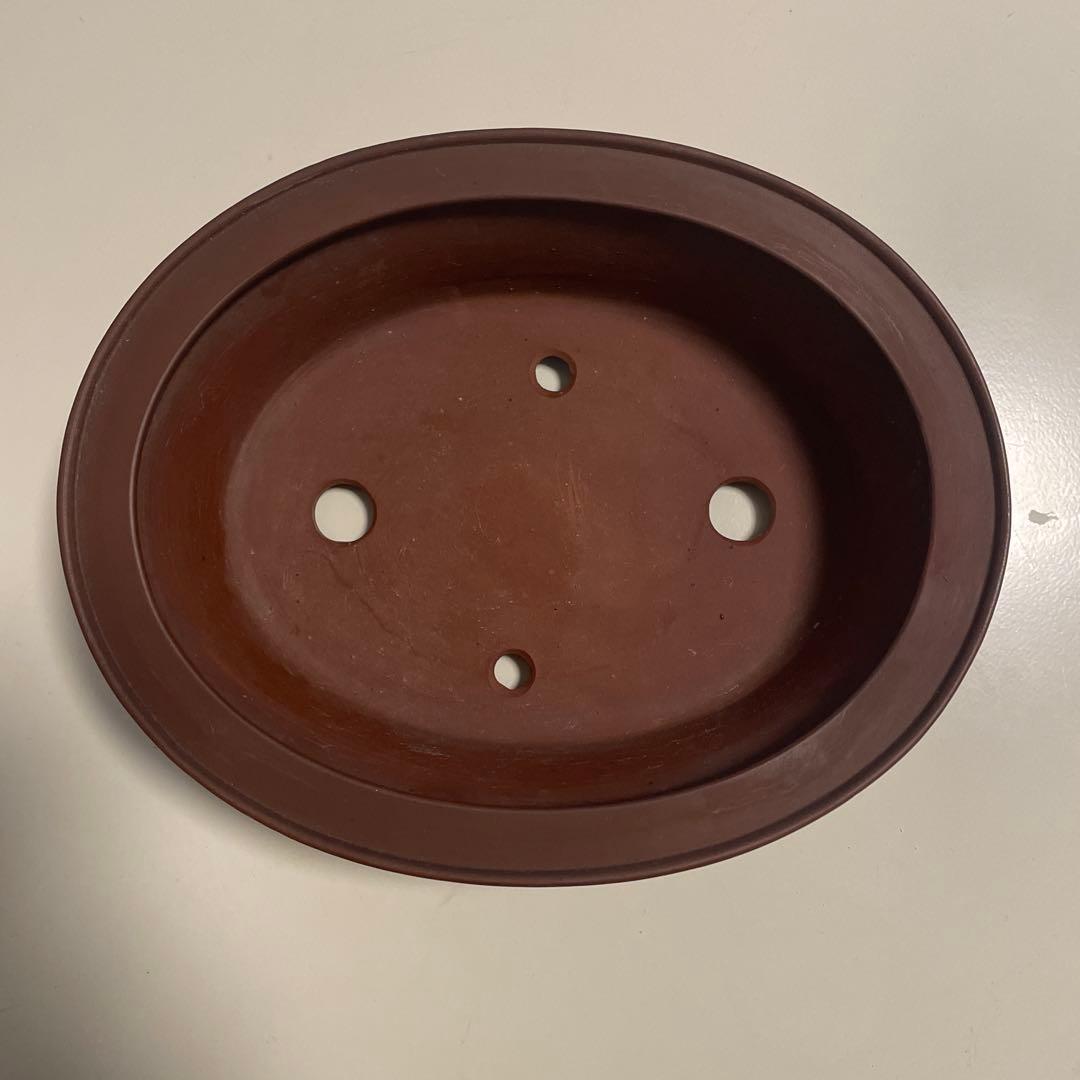 盆栽鉢　常滑焼　美芸