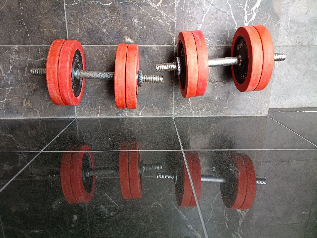 ファイティングロード プレート5kg×8 ダンベル irotec 計45kg