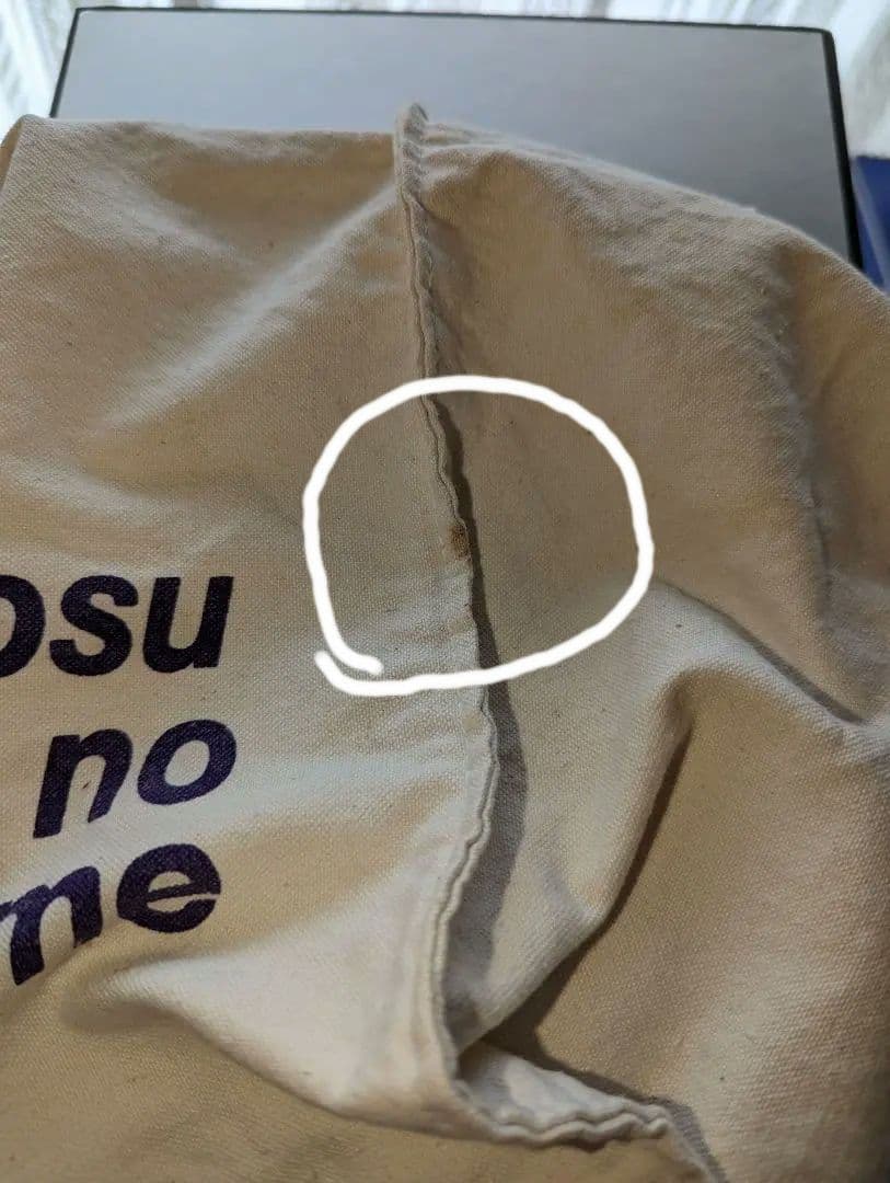 【悪魔の花嫁 デイモスの花嫁】プリンセス連載時　懸賞トートバッグ　希少