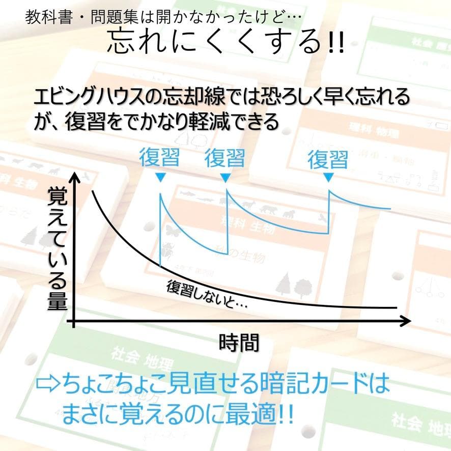 中学受験 暗記カード【理科 生物 全セット】小学5年生が最適