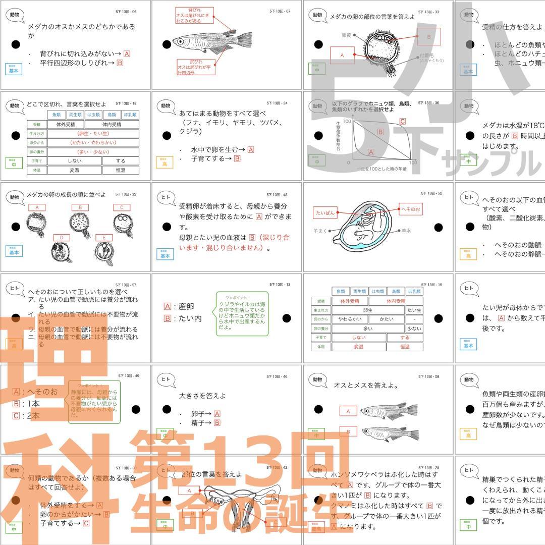 中学受験 暗記カード【理科 生物 全セット】小学5年生が最適