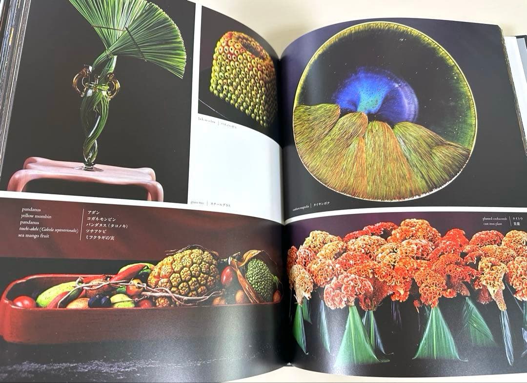 DANIEL OST in JAPAN アートブック｜10%寄付付