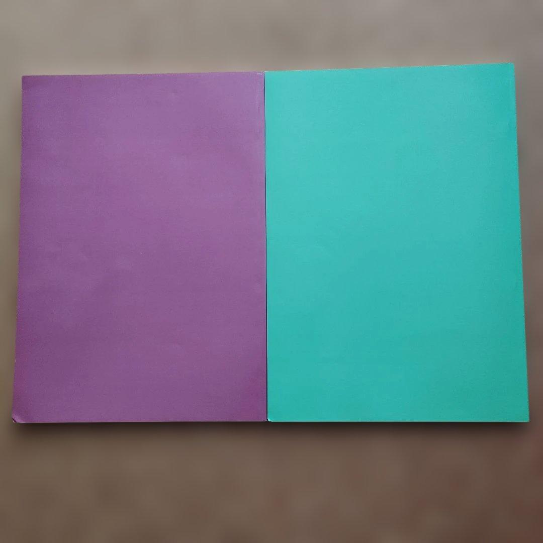 バロックリュート教則本　上下巻　水戸茂雄　２冊セット