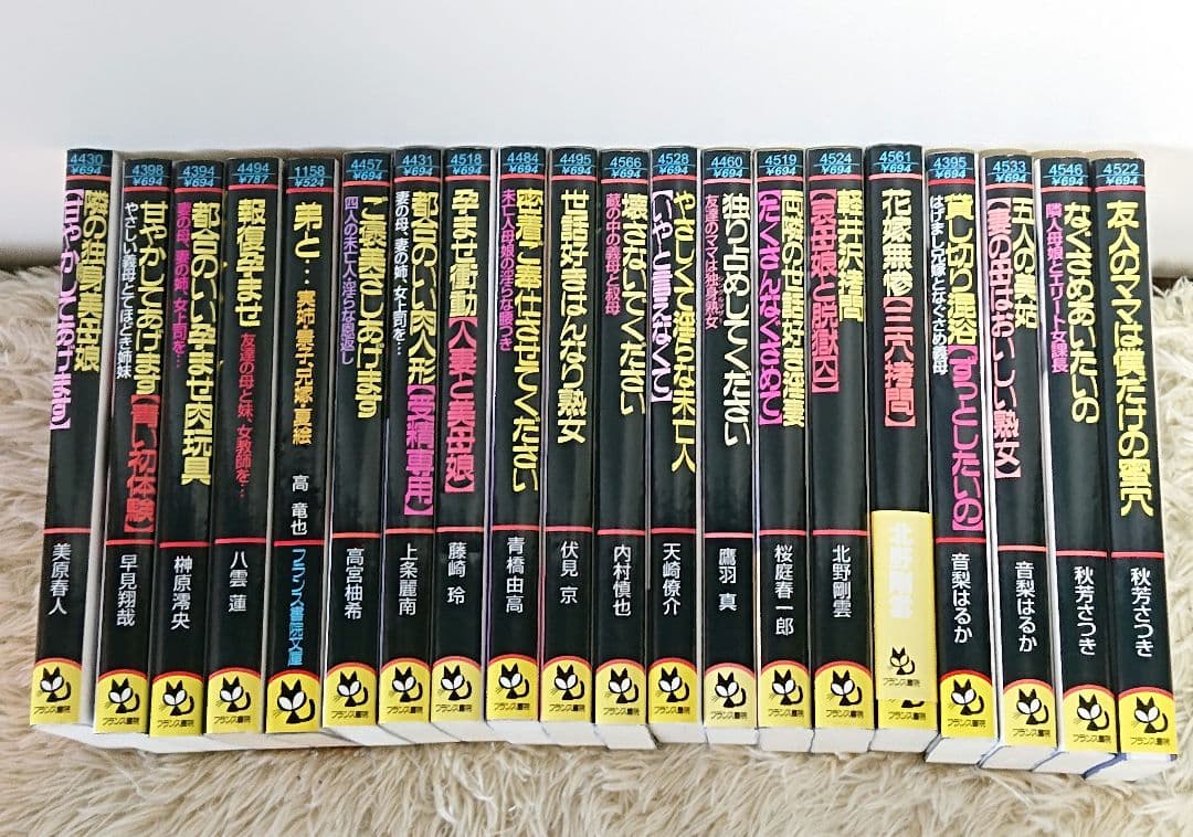 フランス書院 文庫 まとめ売り