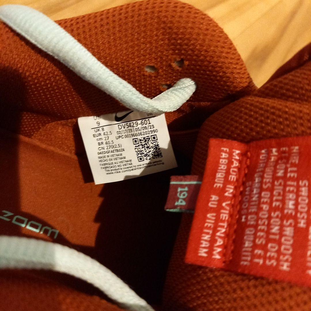 Nike Dunk Low オレンジ/アクア