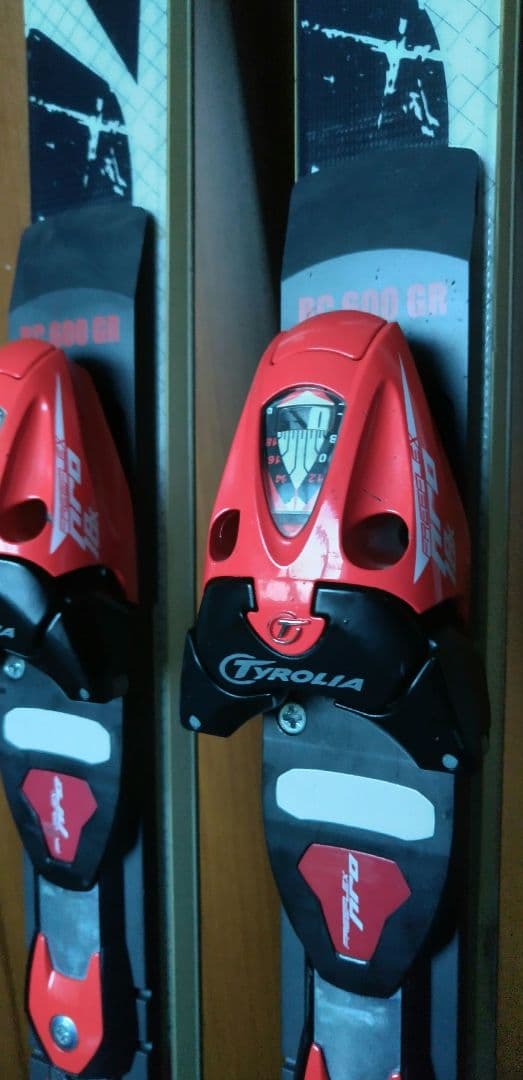 TRIUN OGASAKA スキー板 GS 190cm