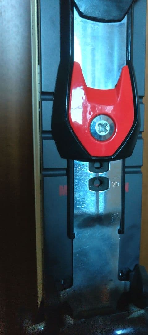 TRIUN OGASAKA スキー板 GS 190cm