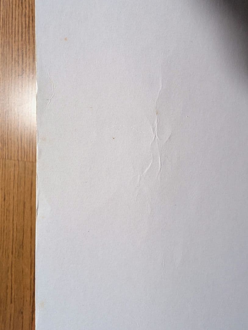 【絶版】ショパン・ピアノ作品便覧 : 解説と縮少ピアノ・スコア204曲収載