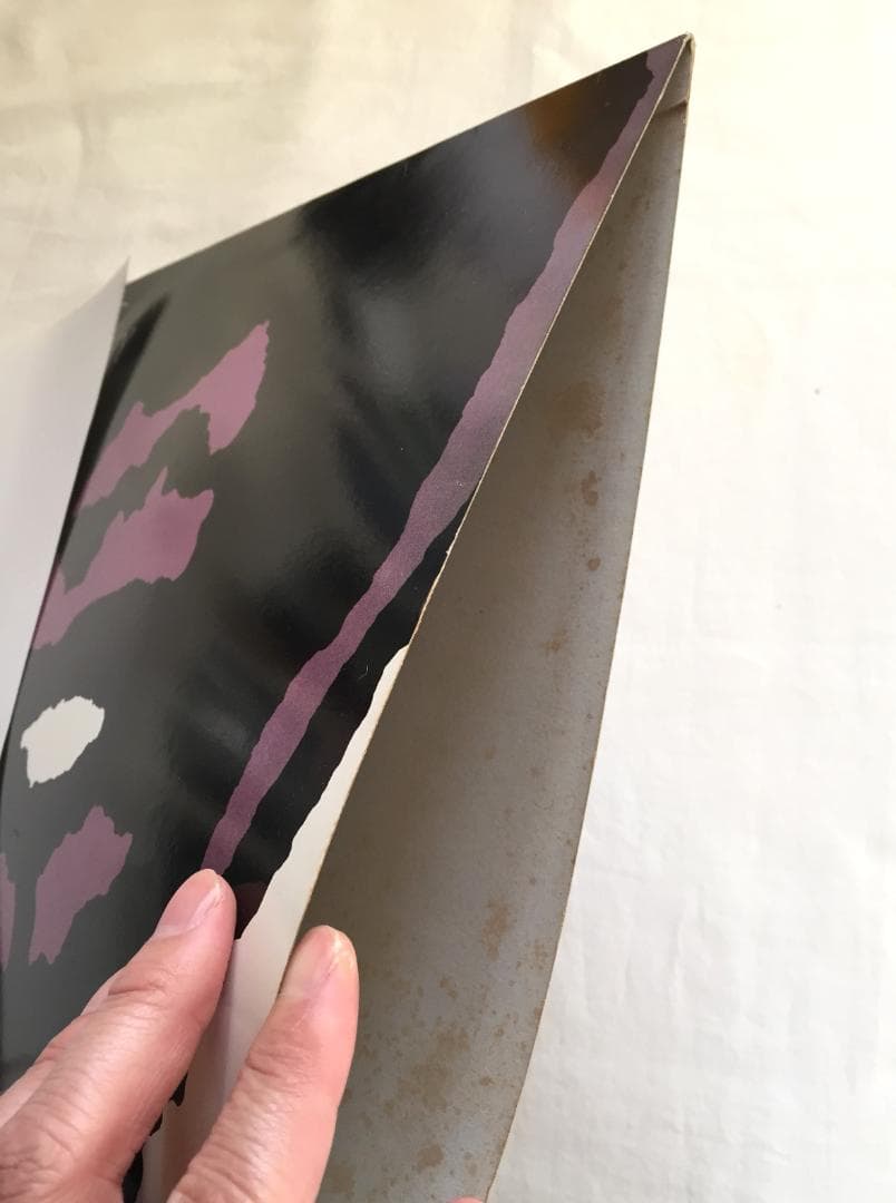 Dag Nasty Can I say LP レコード 86年盤 ダグナスティ